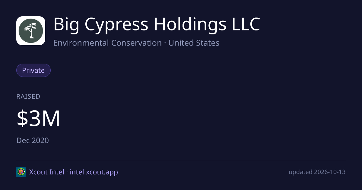 Big Cypress Holdings LLC — share card preview