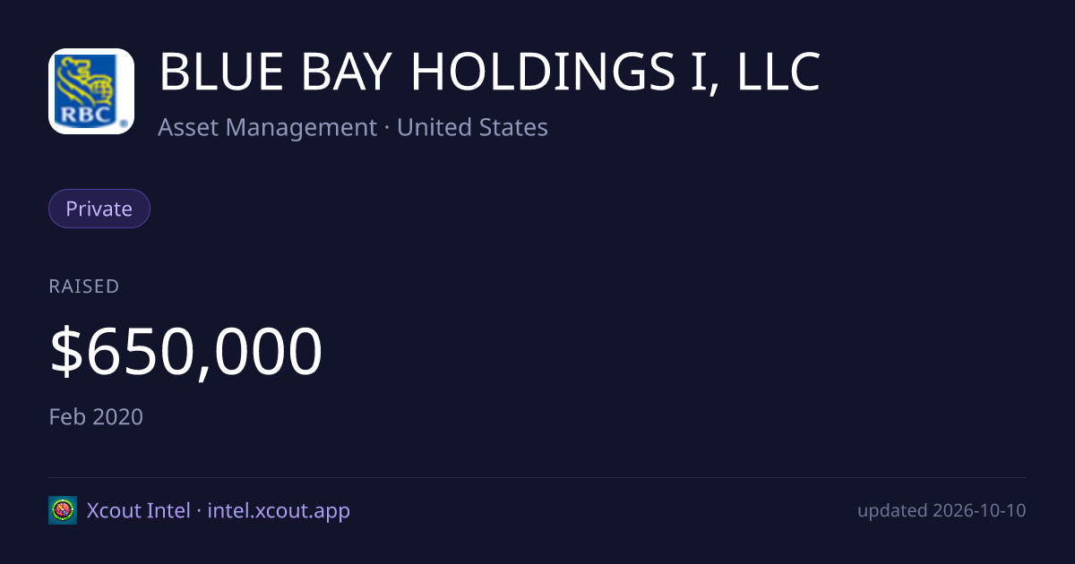 BLUE BAY HOLDINGS I, LLC — share card preview