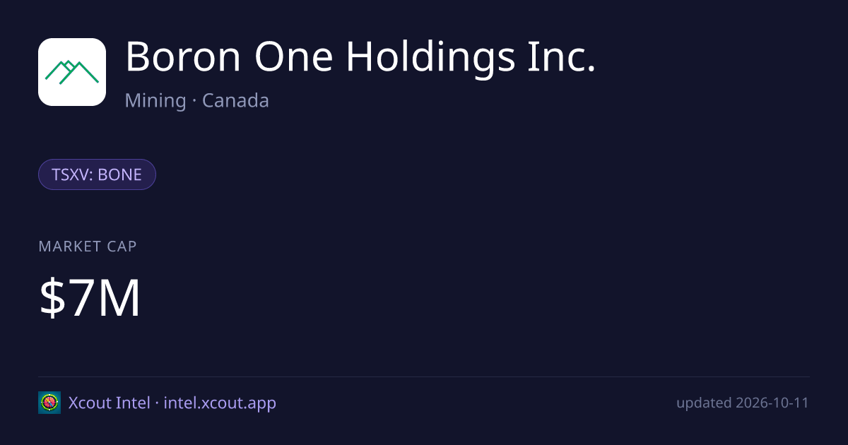 Boron One Holdings Inc. — share card preview