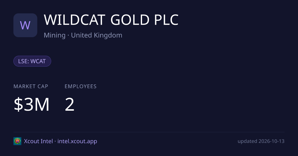 WILDCAT GOLD PLC — share card preview